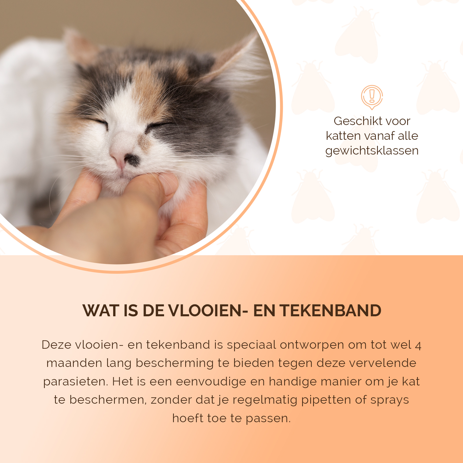 Knock Pest Vlooien/Tekenband Kat 33 cm NL/FR 2026 Knock Pest Vlooien/Tekenband Kat 33 cm NL/FR - Afbeelding 5
