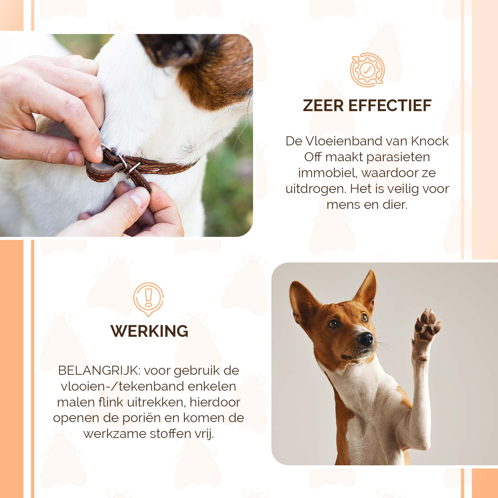 Knock Pest Vlooien/Tekenband Hond 33 cm NL/FR 2026 Knock Pest Vlooien/Tekenband Hond 33 cm NL/FR - Afbeelding 4
