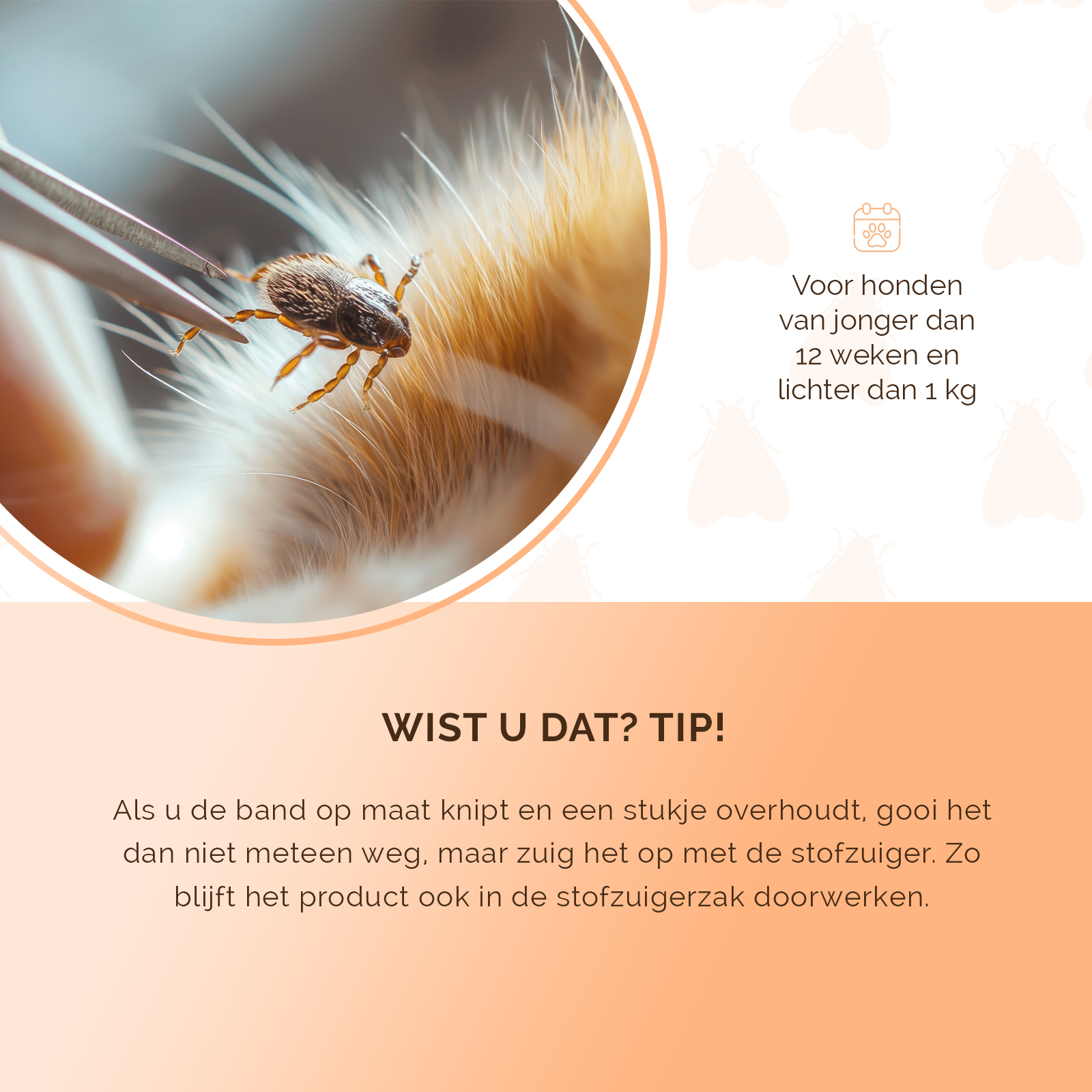 Knock Pest Vlooien/Tekenband Hond 33 cm NL/FR 2026 Knock Pest Vlooien/Tekenband Hond 33 cm NL/FR - Afbeelding 5