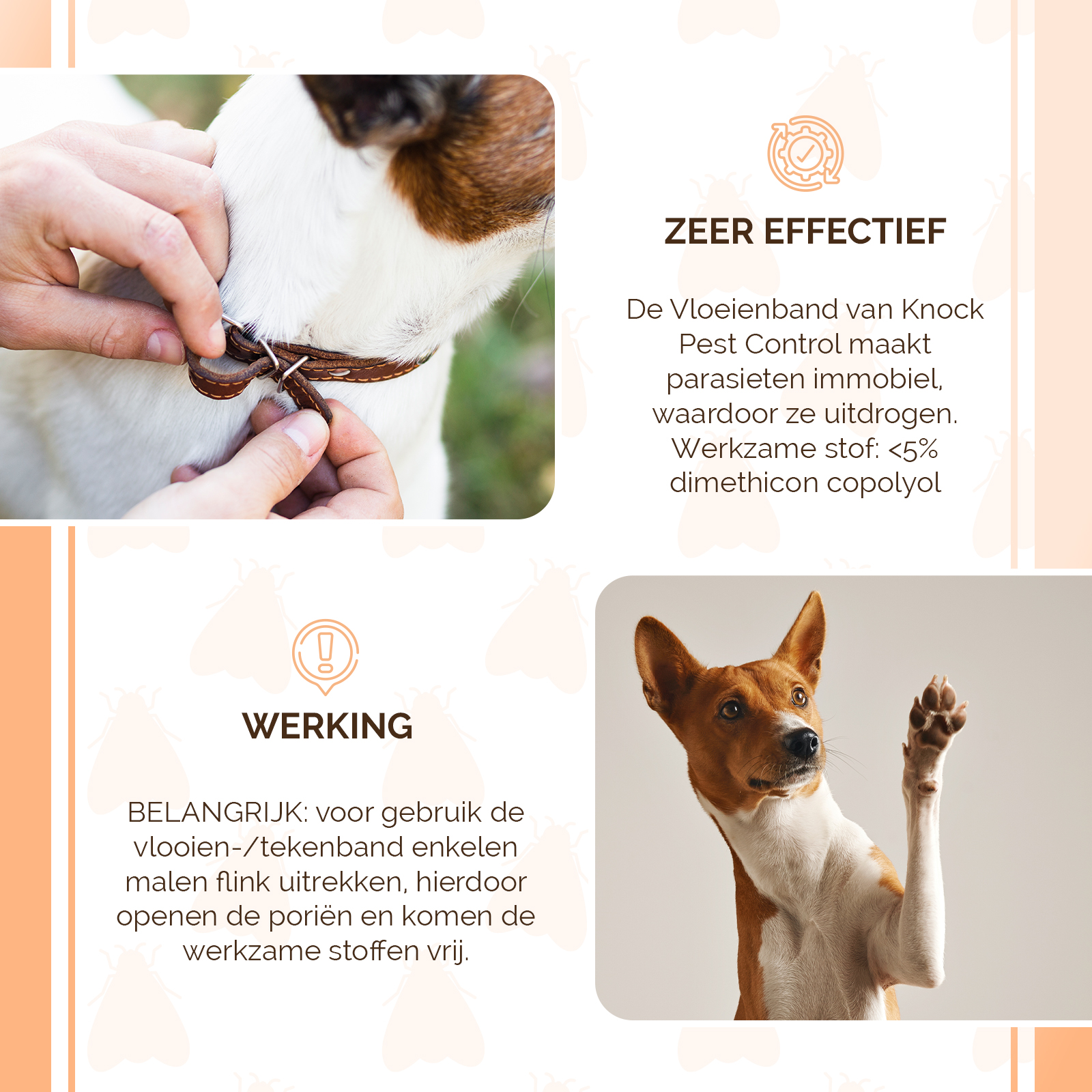 Knock Pest Vlooien/Tekenband Hond 33 cm DE/UK 2026 Knock Pest Vlooien/Tekenband Hond 33 cm DE/UK - Afbeelding 4