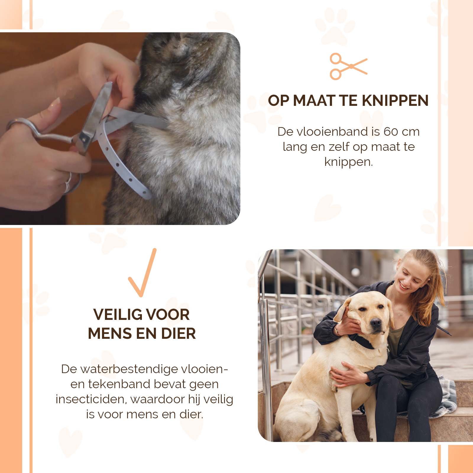 Knock Pest Vlooien/Tekenband Hond 59 cm DE/UK 2026 Knock Pest Vlooien/Tekenband Hond 59 cm DE/UK - Afbeelding 4