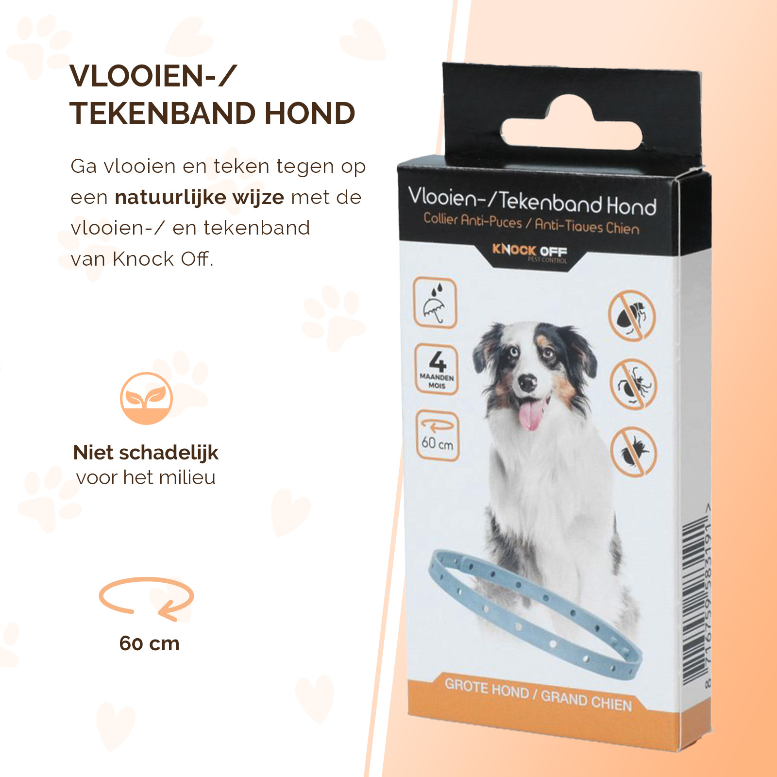 Knock Pest Vlooien/Tekenband Hond 59 cm NL/FR 2026 Knock Pest Vlooien/Tekenband Hond 59 cm NL/FR - Afbeelding 2