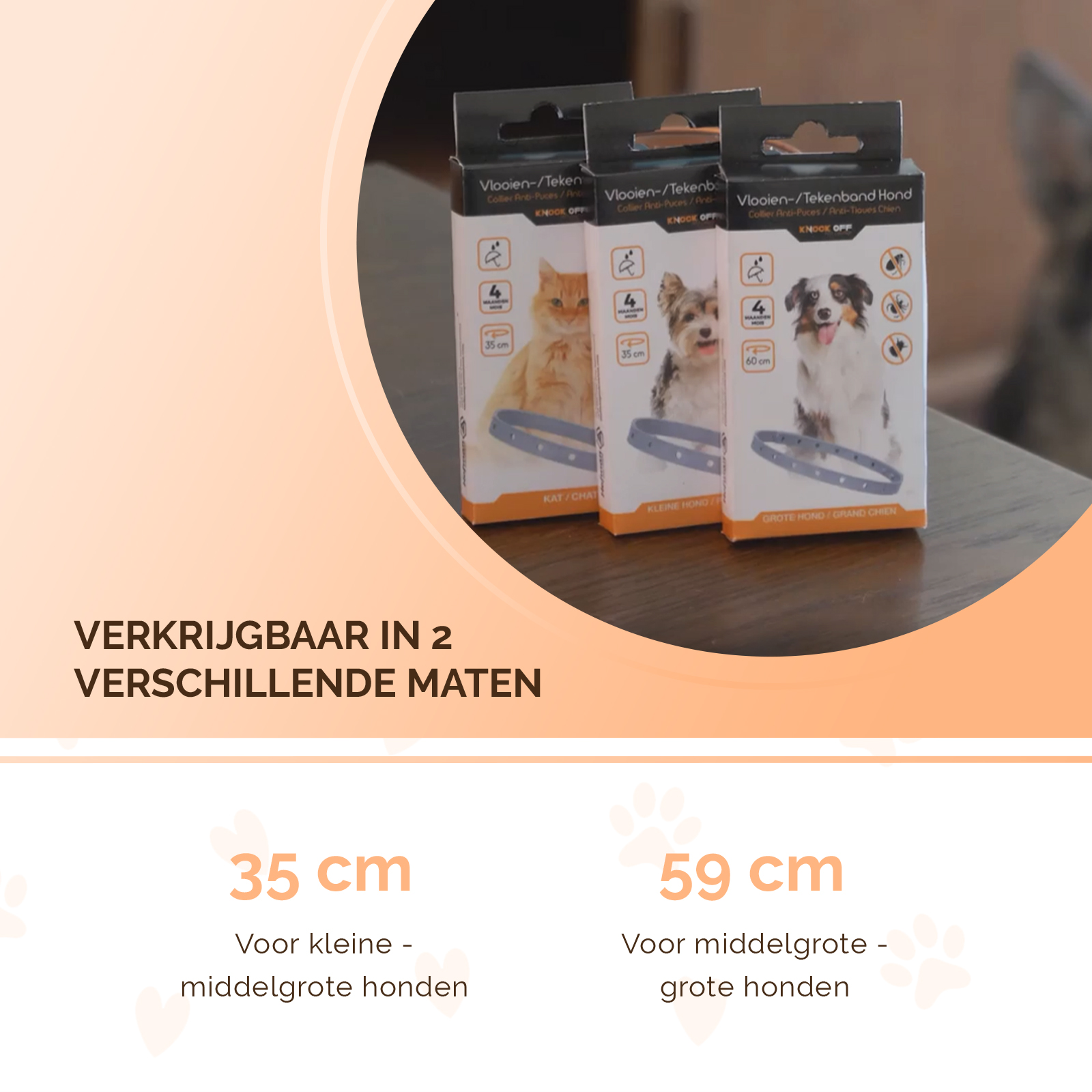 Knock Pest Vlooien/Tekenband Hond 59 cm NL/FR 2026 Knock Pest Vlooien/Tekenband Hond 59 cm NL/FR - Afbeelding 5