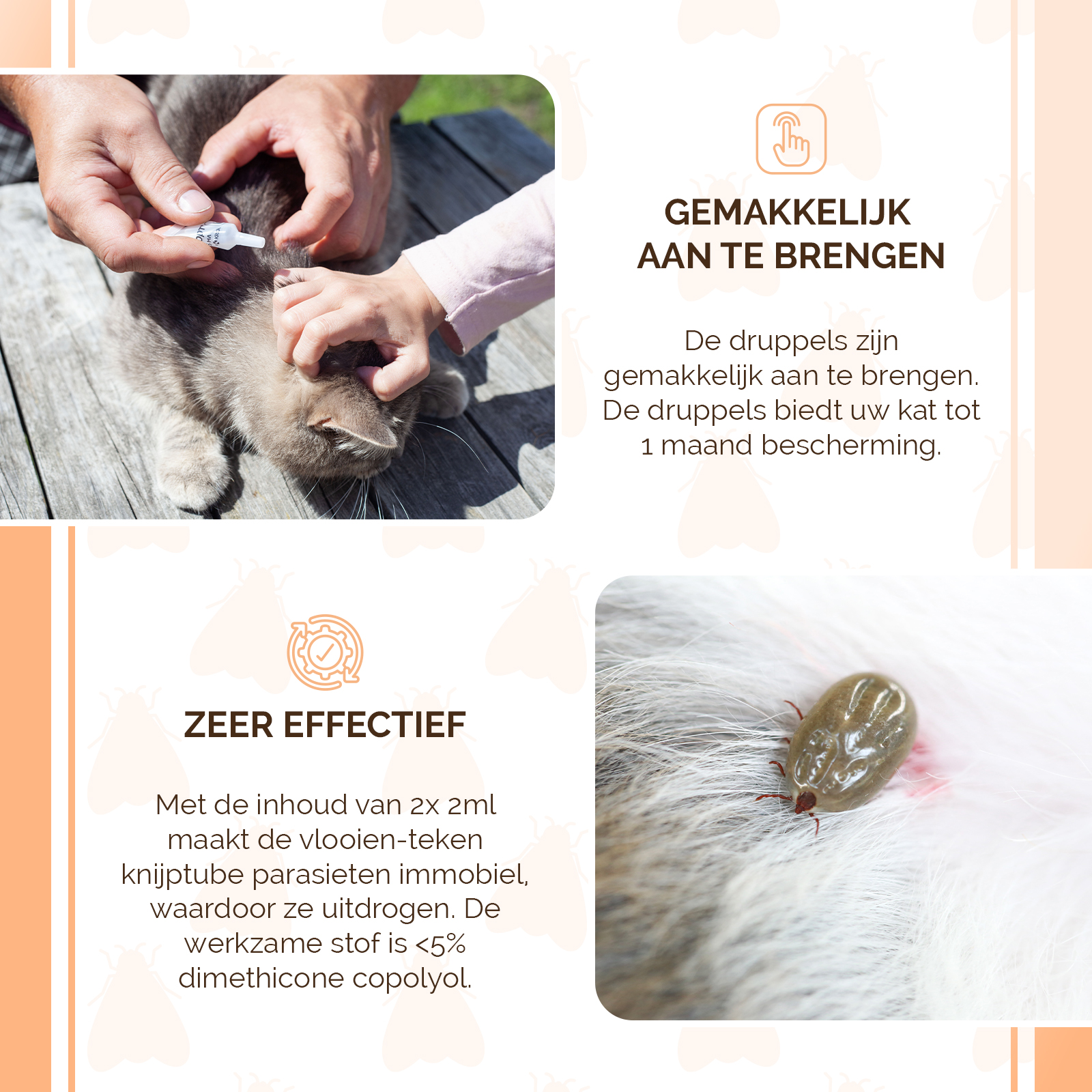 Knock Pest vlooien-tekenpipet Kat NL/FR 2026 Knock Pest vlooien-tekenpipet Kat NL/FR - Afbeelding 4
