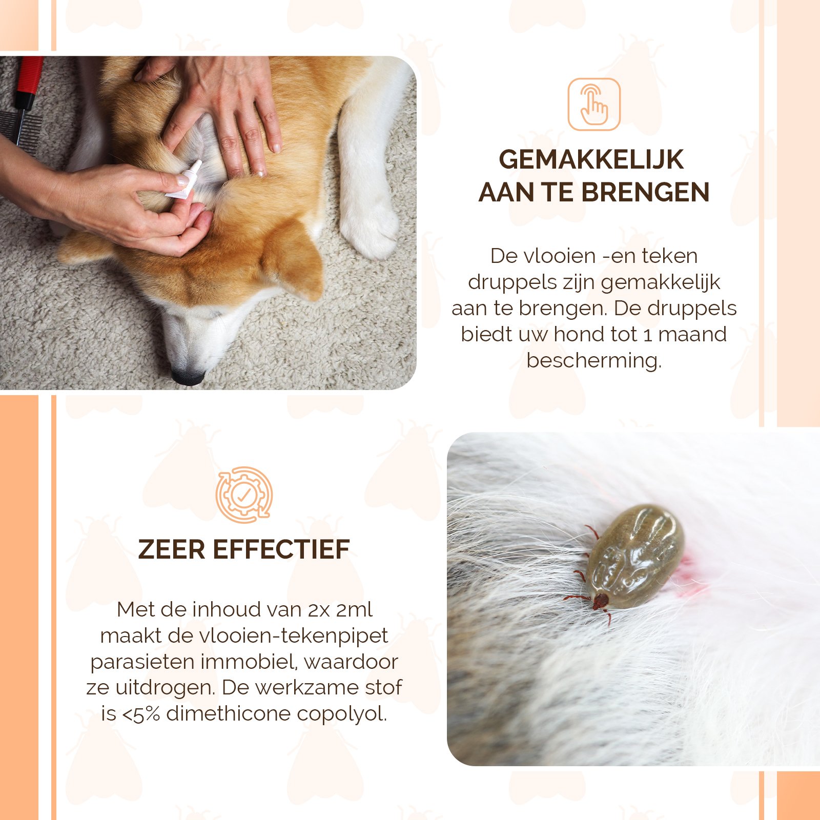 Knock Pest vlooien-tekenpipet Hond <5 kg 2026 Knock Pest vlooien-tekenpipet Hond <5 kg - Afbeelding 4