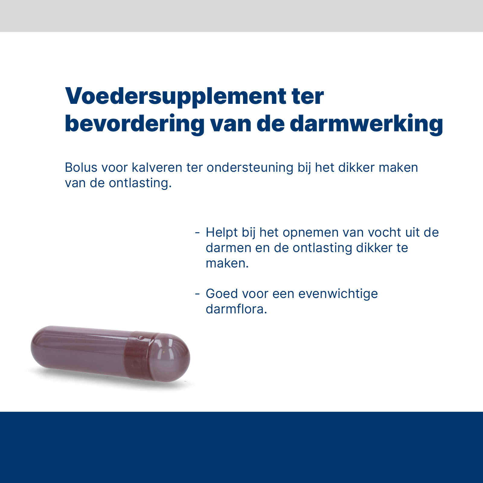 Excellent Euro-Vital Bolus 24 x 10 g 2026 Excellent Euro-Vital Bolus 24 x 10 g - Afbeelding 4