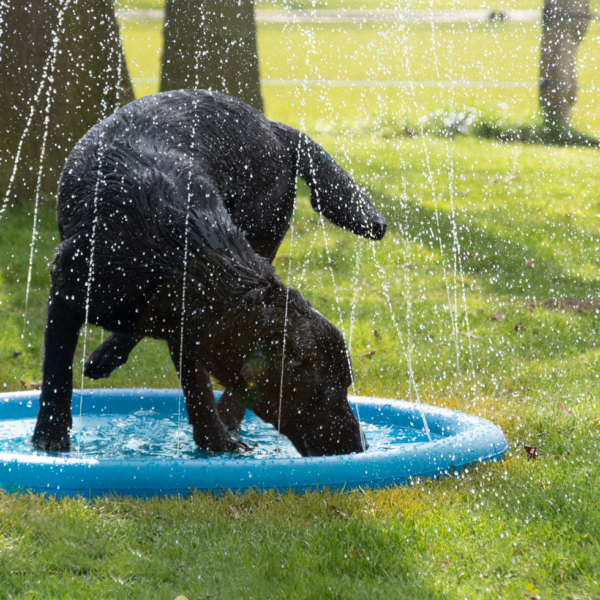 CoolPets Splash Pool Sproeier - Afbeelding 2