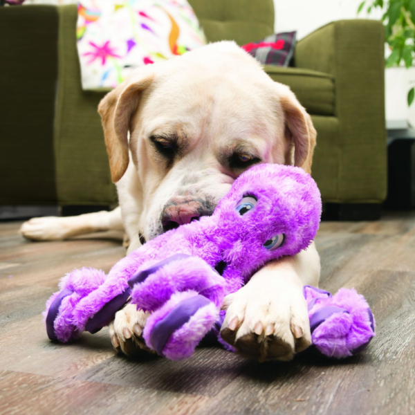 KONG SoftSeas Octopus L - Afbeelding 3