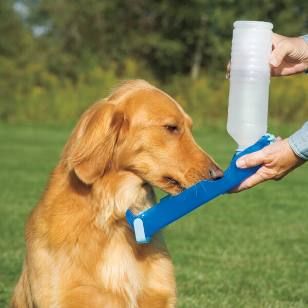 Pawise Drinkfles Hond 500 ml - Afbeelding 2