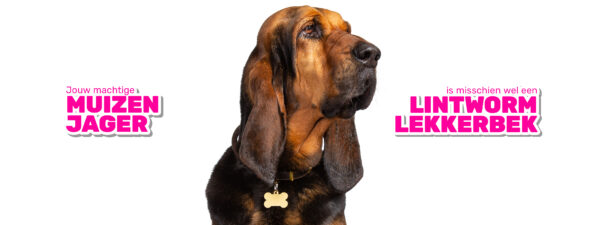 Milbemax Kauwtabletten Hond Groot Chewy 4 tabl. 5-75kg - Afbeelding 3