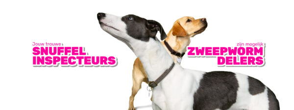 Milbemax Kauwtabletten Hond Groot Chewy 4 tabl. 5-75kg - Afbeelding 4