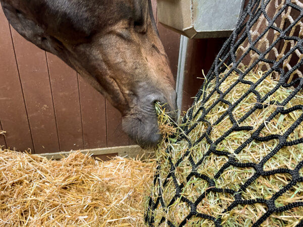 Hay Slowfeeder net 10 kg (5 mm dik, maaswijdte 60/45 mm) - Afbeelding 2