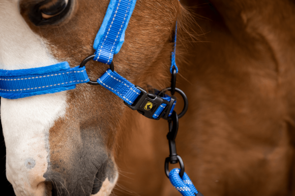 Excellent Horse Superior Halster XS Mini Foal Blauw - Afbeelding 4