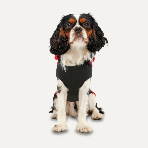 Gooeez Kangaroo Fleece Hoodie S Red/Black - Afbeelding 4