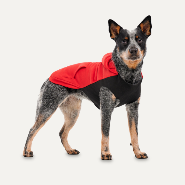 Gooeez Kangaroo Fleece Hoodie S Red/Black - Afbeelding 2