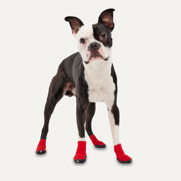 Gooeez Regular Dog Boots (2-pack) 2XS Red/Black - Afbeelding 2