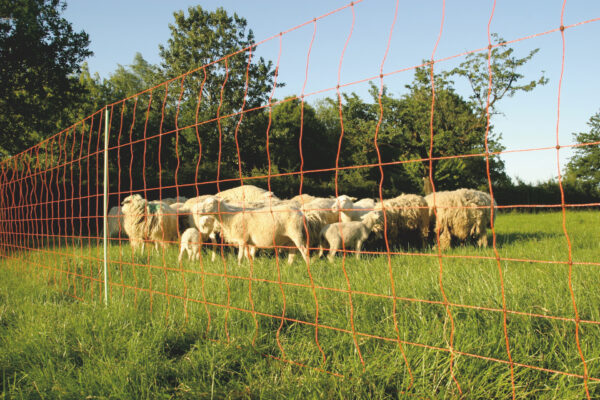 Euro-Net 106 cm dubbelpunt - Afbeelding 2