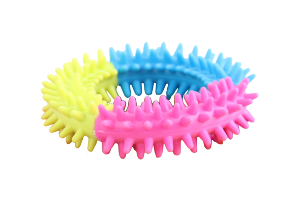 Pawise Rainbow World - Coronule M