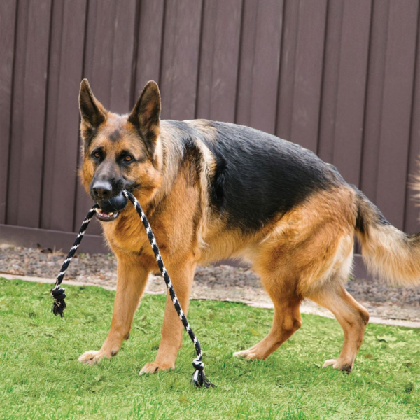 KONG Extreme Ball met touw large - Afbeelding 3