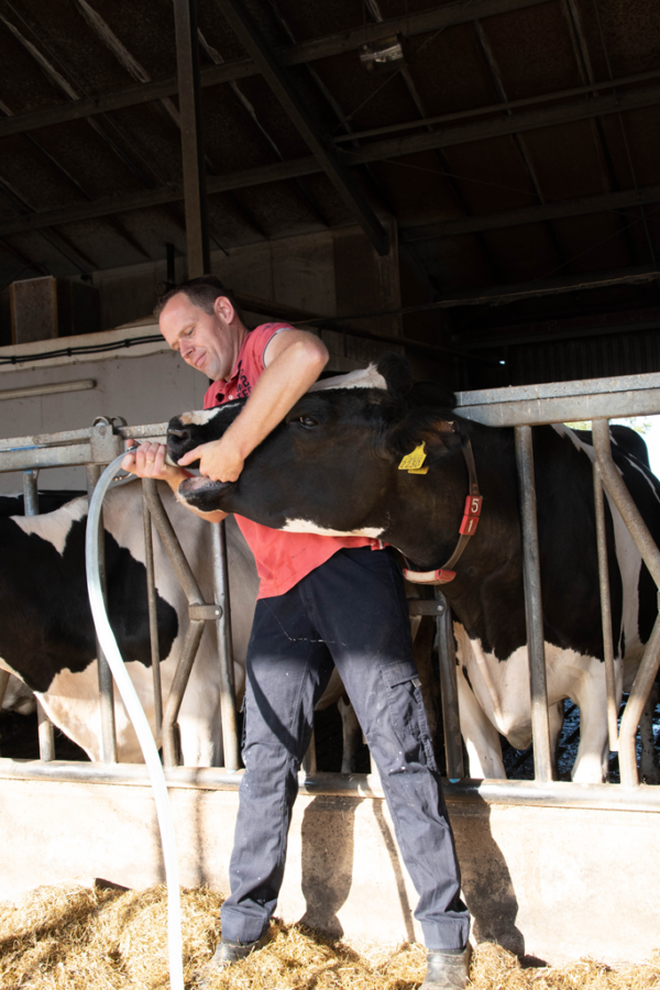 Cow Drencher Automatic - Afbeelding 3