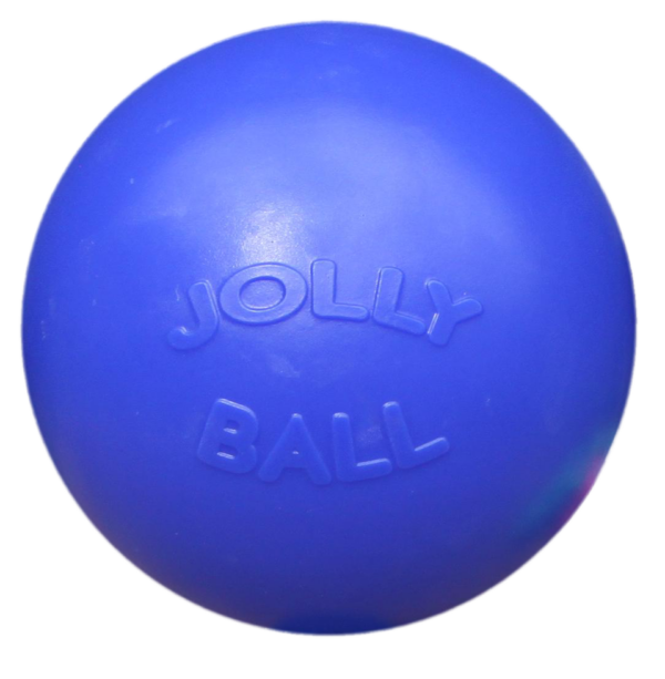 Jolly Ball Push-n-Play 25cm blauw