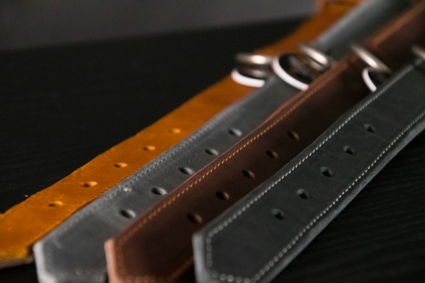 Spotted! Pro Leren Halsband Cognac 2,5x40cm - Afbeelding 4