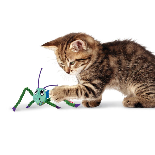 KONG Crackles Grasshopper EU - Afbeelding 3