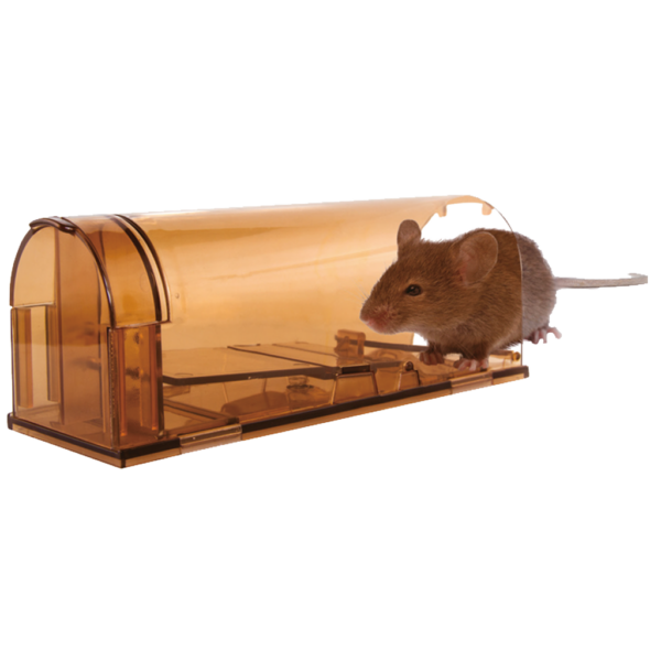 Knock Pest Muizenval Levend - Afbeelding 3