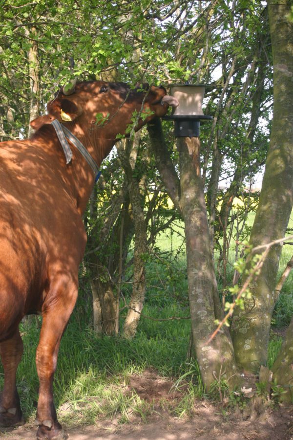 Liksteenhouder voor op Paal KS voor 10 kg - Afbeelding 3