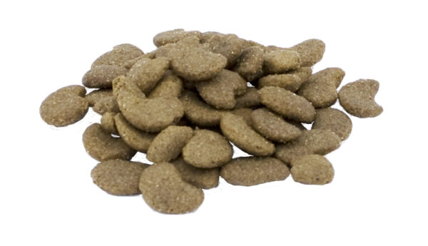 Excellent Pets Cat Parex - Afbeelding 2