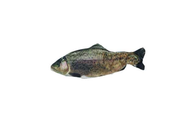 Robocat Forel - Afbeelding 5