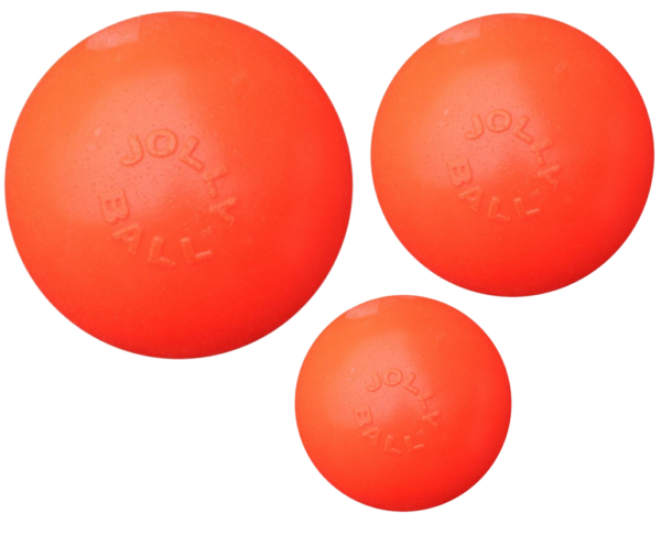Jolly Ball Bounce-n Play 15cm Oranje (Vanillegeur)