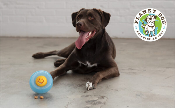 Outward Hound Orbee-Tuff Nooks-Face Yellow Planet Dog - Afbeelding 4