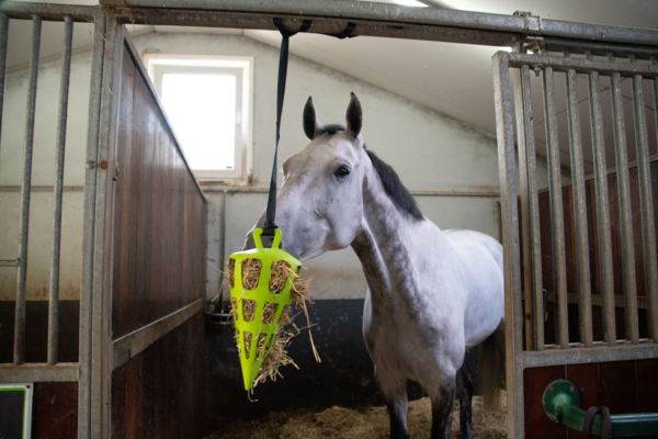 Hay Slowfeeder Fun and Flex 22 cm Groene Wortel - Afbeelding 5