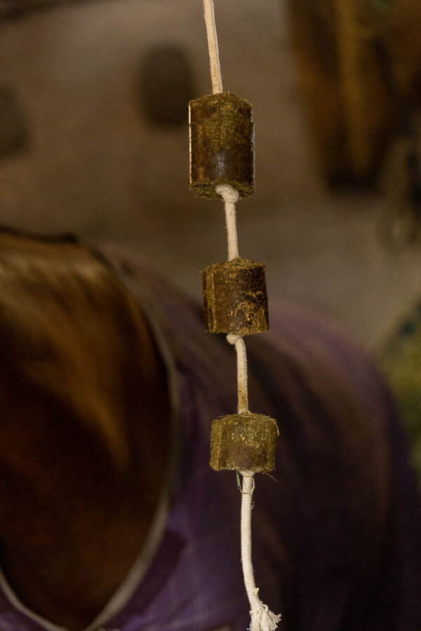 Lax Luzerne aan Speeltouw voor Paarden - Afbeelding 3