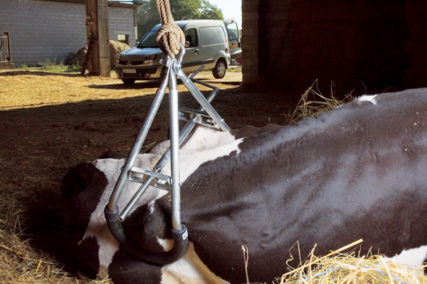 Koelift / Heupklem Easy - Afbeelding 2