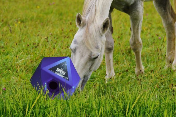 Maximus Feed & Play roze - Afbeelding 3