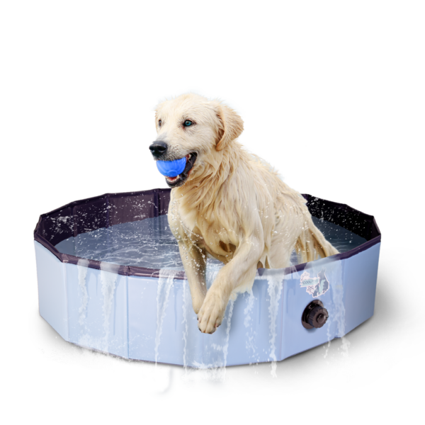 CoolPets Zwembad 80x20 - Afbeelding 5