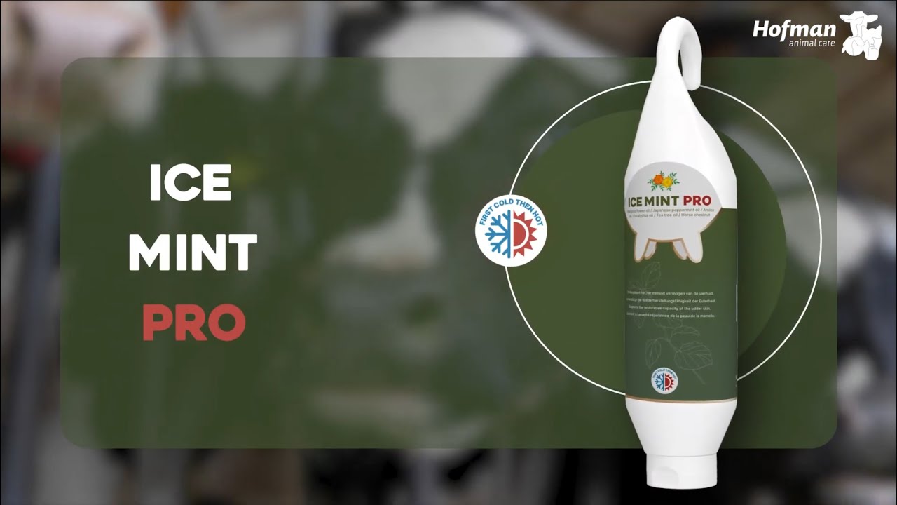 Ice Mint Pro Gel Hangtube 2,5 l 2025 Ice Mint Pro Gel Hangtube 2,5 l - Afbeelding 2