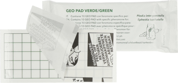Geo Lijmplaat Levensmiddelenmot (Ephestia/Plodia) - Afbeelding 2