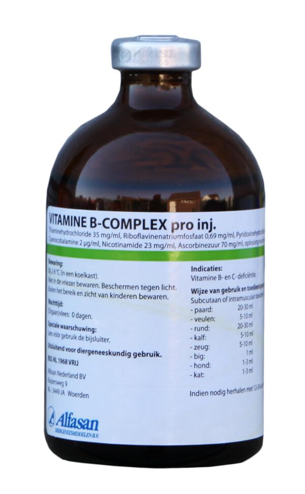Vitamine B-complex Pro Inj. REG NL VRIJ