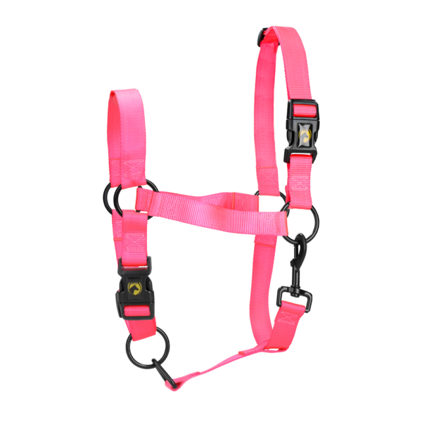 Excellent Horse Essential Halster XL Full Roze