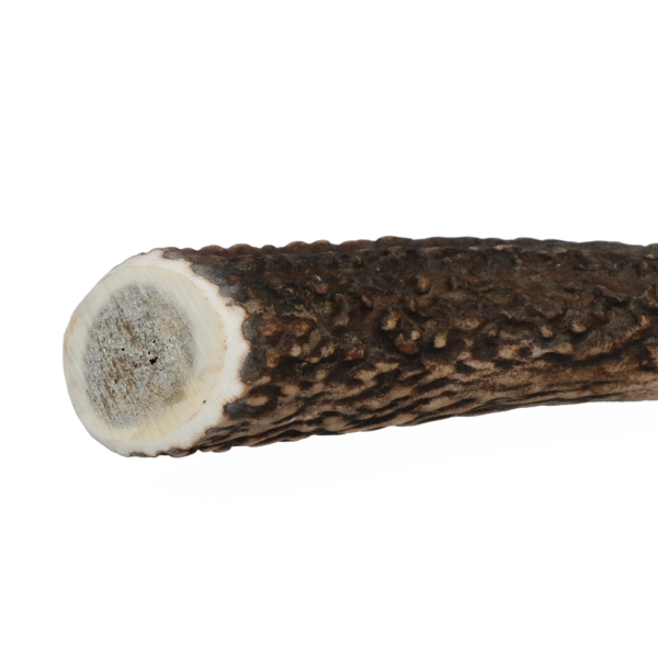 Viking Antler Hard XL - Afbeelding 4