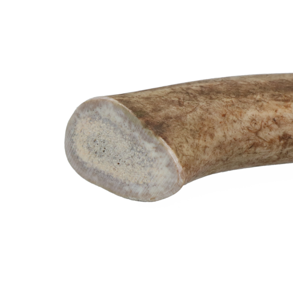 Viking Antler Hard XL - Afbeelding 3