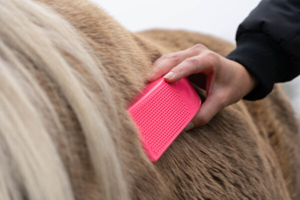 Package deal Excellent Grooming Brush - Afbeelding 4