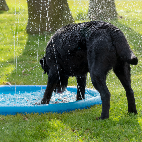 CoolPets Splash Pool Sproeier - Afbeelding 5