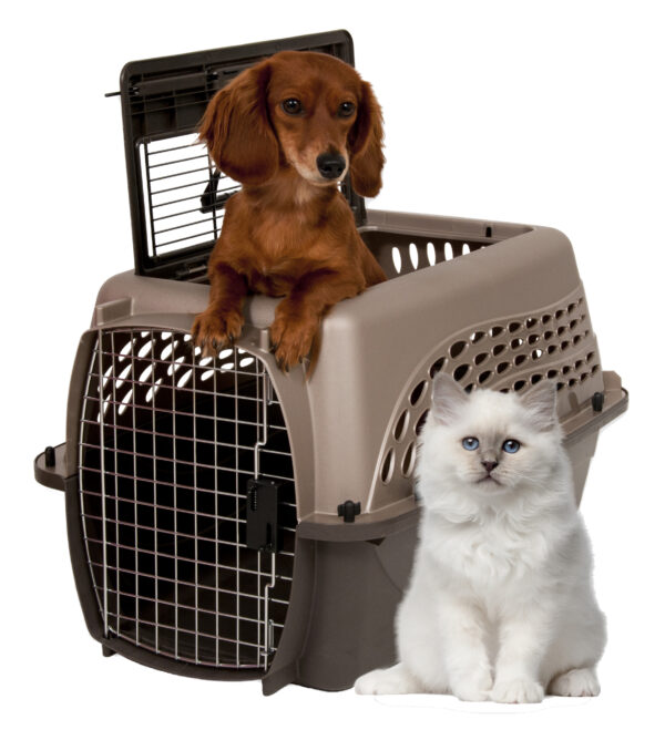 Petmate 2 Door Top Load Kennel S Brown - Afbeelding 2