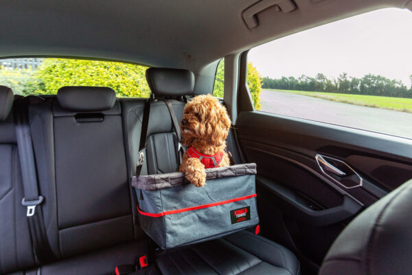 KONG Ultimate Booster Seat & Tether - Afbeelding 5