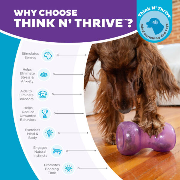 Outward Hound Double Snoop Purple Planet Dog - Afbeelding 5