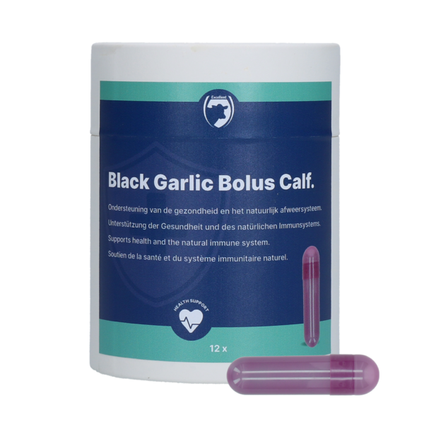 Black Garlic Bolus Calf